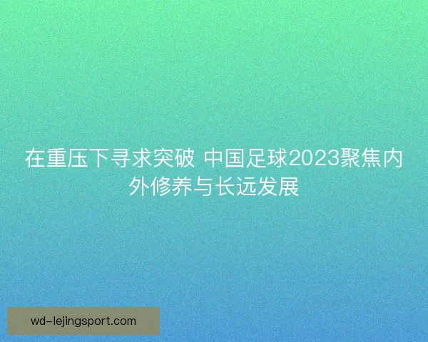 在重压下寻求突破 中国足球2023聚焦内外修养与长远发展